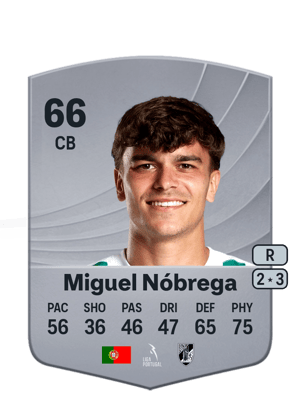Miguel Nóbrega