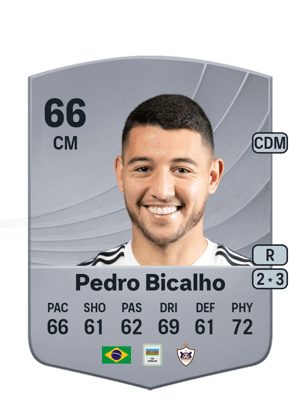 Pedro Bicalho