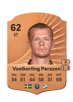 Joel Voelkerling Persson