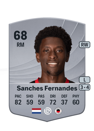 Derensili Sanches Fernandes