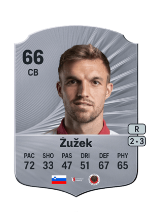 Žan Žužek