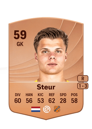 Roy Steur