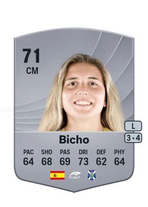 Bicho