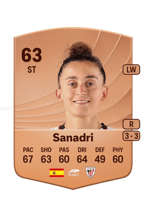 Sanadri