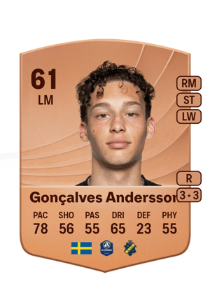 Victor Gonçalves Andersson