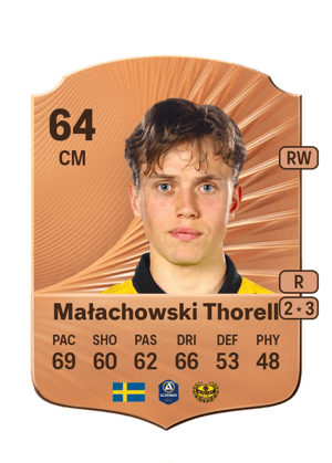 Ludwig Małachowski Thorell