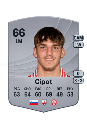 Tio Cipot