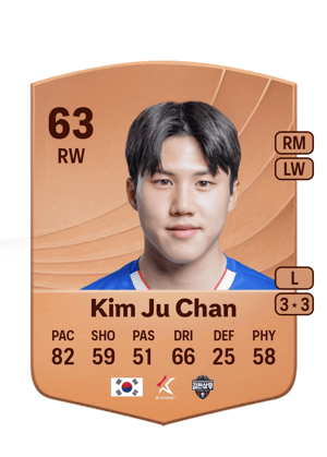 Kim Ju Chan