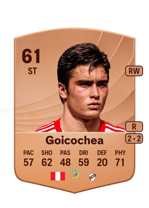 Juan Pablo Goicochea