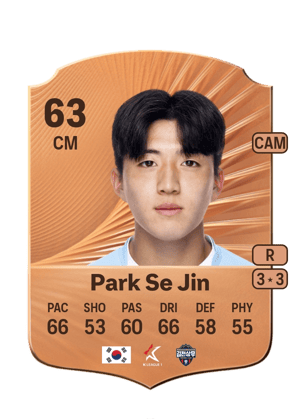 Park Se Jin
