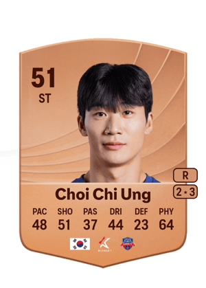 Choi Chi Ung