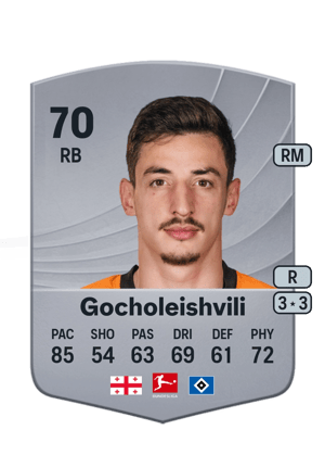 Giorgi Gocholeishvili