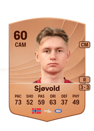 Stian Sjøvold