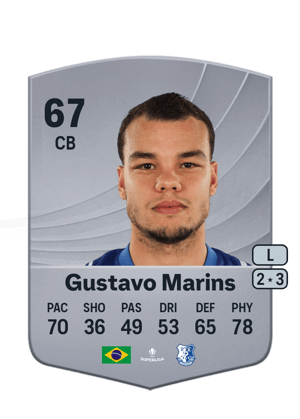 Gustavo Marins