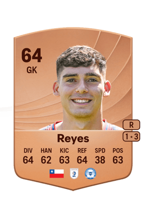 Vicente Reyes