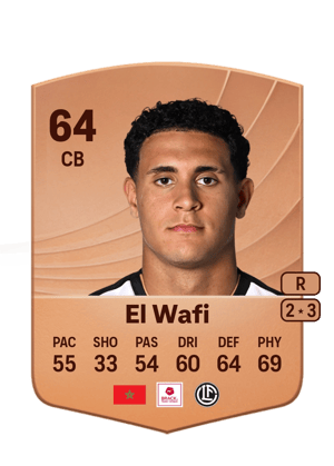 Ayman El Wafi