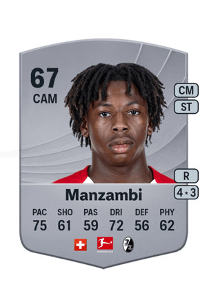 Johan Manzambi