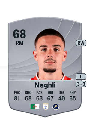 Camiel Neghli