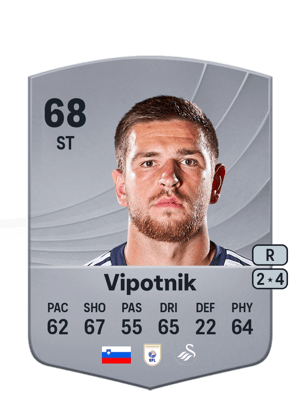 Žan Vipotnik