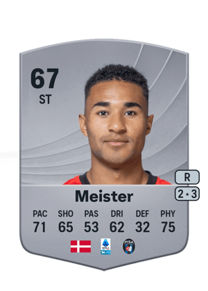 Henrik Meister