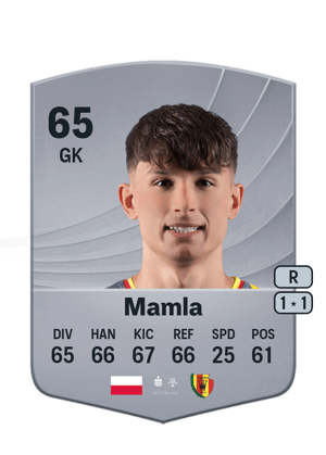 Rafał Mamla