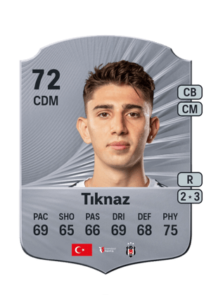 Demir Ege Tıknaz