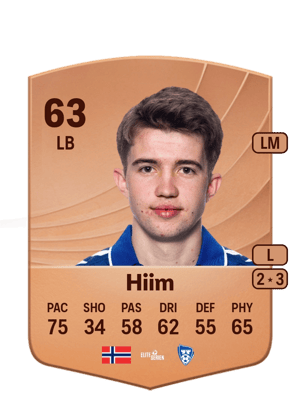Anders Hiim
