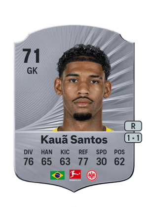 Kauã Santos