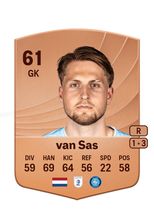 Mikki van Sas