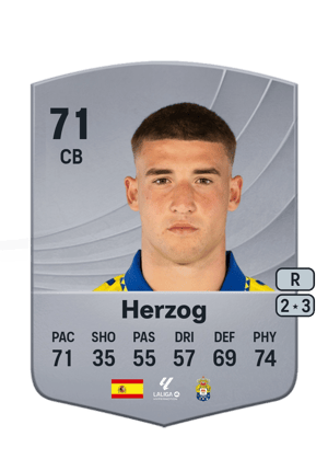 Herzog