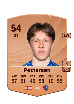 Storm Bugge Pettersen