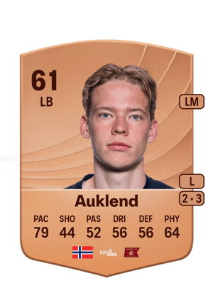 Vetle Auklend