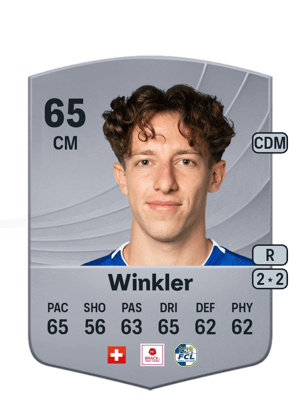 Levin Winkler