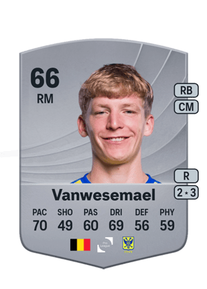 Robert-Jan Vanwesemael