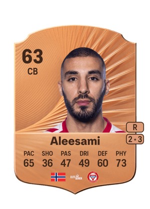 Ayoub Aleesami