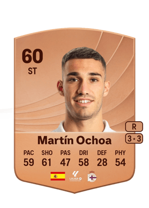 Martín Ochoa