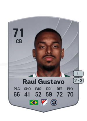 Raul Gustavo Pereira Bicalho