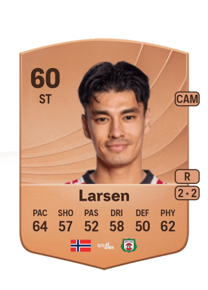Heine Åsen Larsen