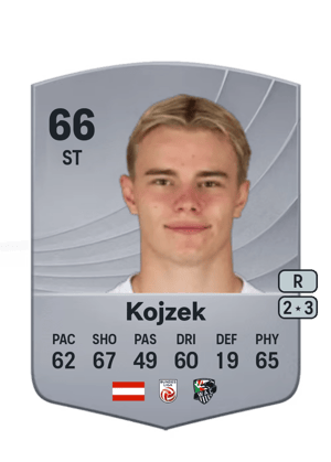 Erik Kojzek