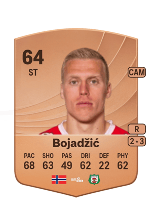 Sanel Bojadžić