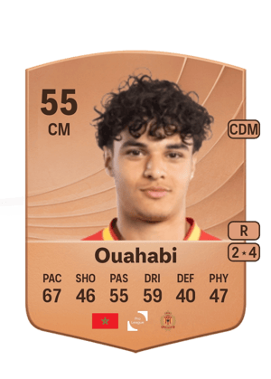Amine Ouahabi