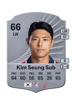 Seung Sub Kim