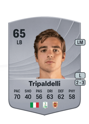 Alessandro Tripaldelli