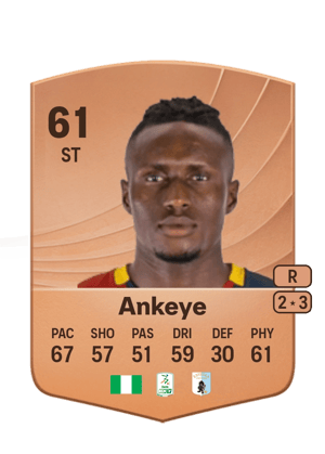 David Ankeye