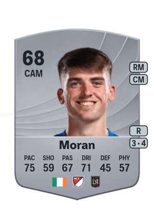 Andrew Moran