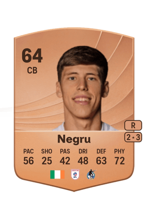 Stephan Negru