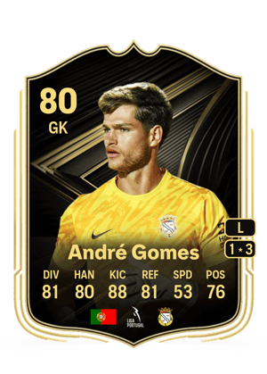 André Nogueira Gomes