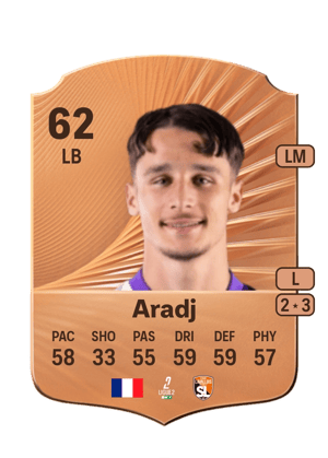 Ylies Aradj