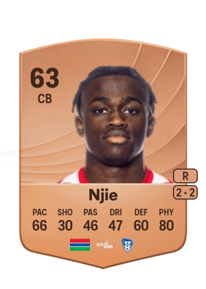 Momodou Lion Njie