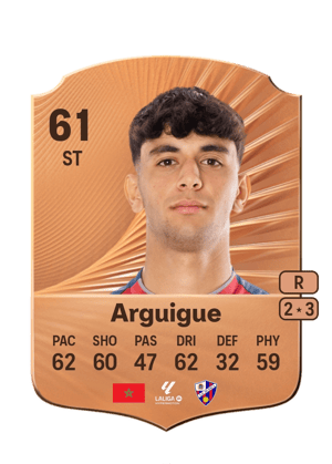 Ayman Arguigue
